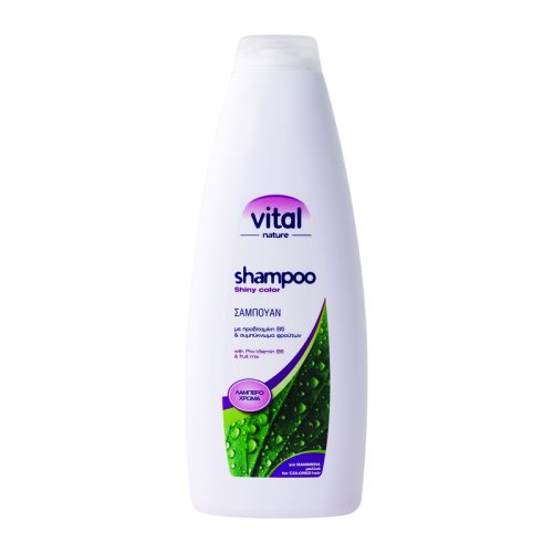 Shampoo -Vital  Βαμμένα Μαλλία  1000ml