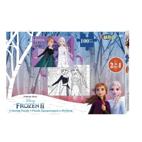 PUZZLE ΧΡΩΜΑΤΙΣΜΟΥ 2 ΟΨΕΩΝ 100ΤΕΜ 49Χ36ΕΚ FROZEN 2